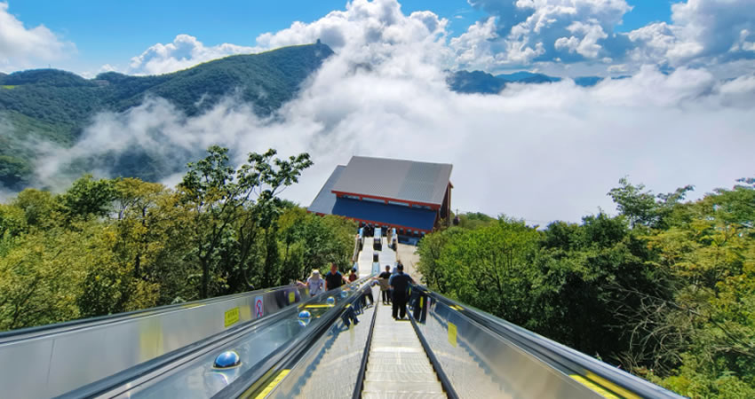 春赏杜鹃夏避暑，秋观彩林冬玩雪